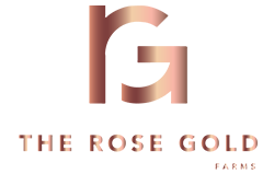 logo-png